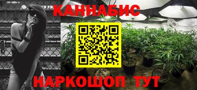 ECSTASY Новозыбков